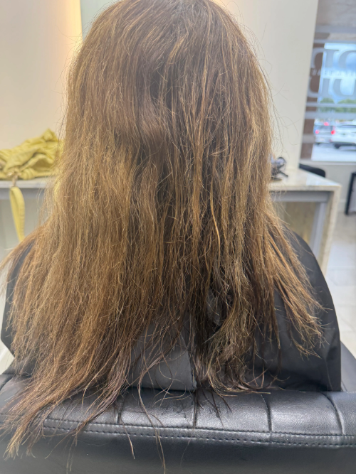 Before transformation 1
